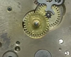 Altus 10.5 - View 6
