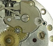AM 392 - View 5