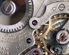 Angelus 256 - View 5