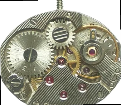 Chaika 1301 - View 1