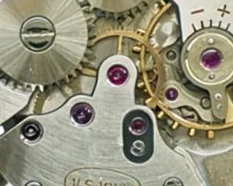 Doxa 103 - View 4
