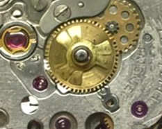 Doxa 41 - View 6