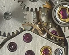 Doxa 42 - View 4