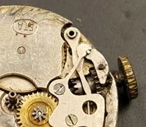 ETA 505 - View 5