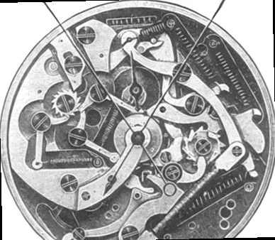 Minerva 39 - View 3